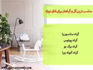 مناسب ترین گل و گیاهان برای اتاق نوزادان