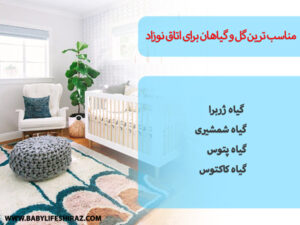 بهترین گل و گیاهان برای اتاق نوزادان