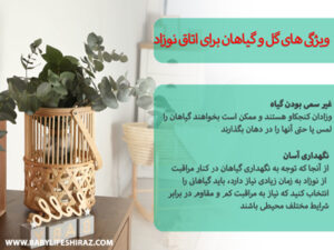 ویژگی گل و گیاهان برای اتاق نوزاد