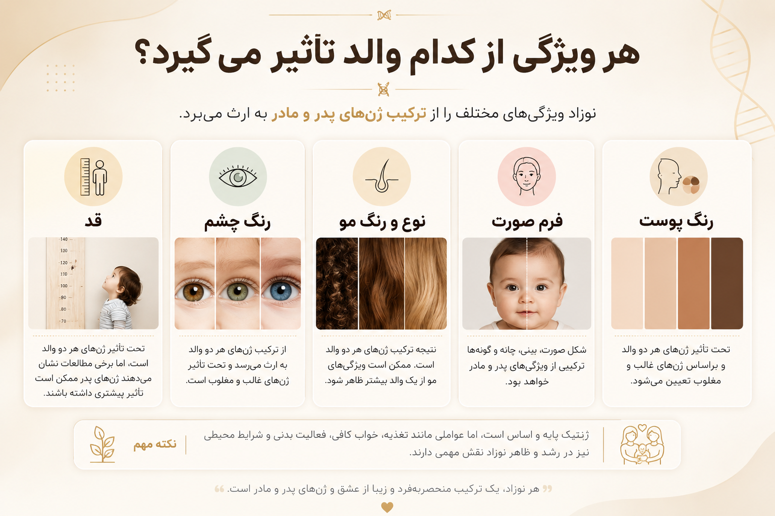 هرویژگی ازوالد به تاثیر می گذرد
